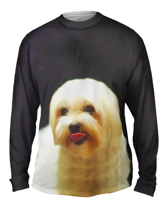 Cozy T-Shirts Painting Gold Maltese